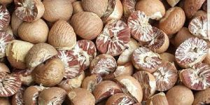 Half Cut Betel Nut Top Fali