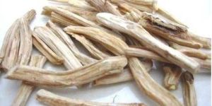 White Shatavari Roots