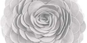 Organza Cushion Covers