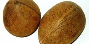 Dried Coconut
