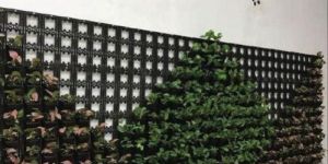 Vertical Gardening Services