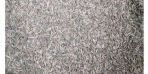 Cumin Seed
