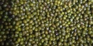 Green Moong Dal