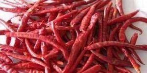 Raw Red Chilli
