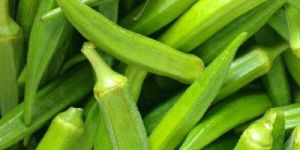 Fresh Okra