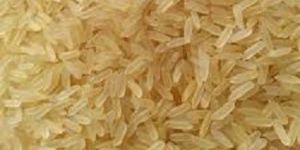 Golden Rice