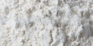 White Onion Powder