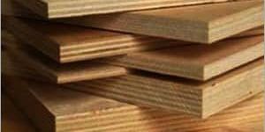 Commercial Plywood Boards