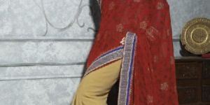 Summer Embroidered Saree