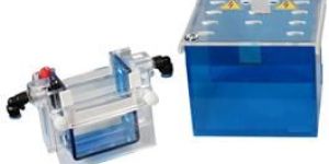 Vertical Electrophoresis Systems