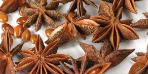 Star Anise Seeds