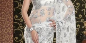 Brasso and Net Saree