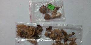 Ogbo Mono Herbal Seed