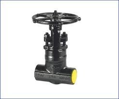 KSB Forged Steel Globe Valve