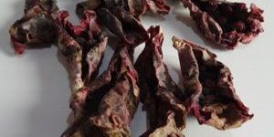 Prickly Pear Red Fruit Powder