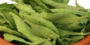 Stevia