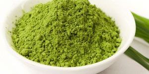 Wheat Grass Powder