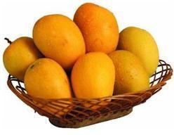 Alphonso Mangoes