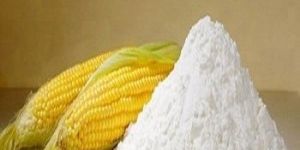 Corn Starch Powder