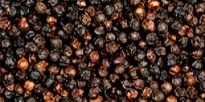 Black Pepper