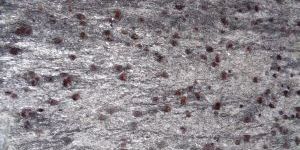 Ruby Galaxy Granite