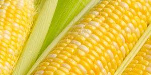 Corn Products