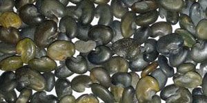 GREEN MANURE PRODUCTS