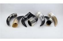 Natural Drinking Horn