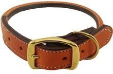 Latest Pet Collars
