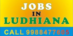 Search Engine Placement Services