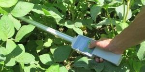 Plant PLANT CANOPY ANALYSER