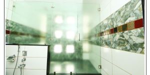 Glass Shower Partition