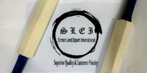 Signature Promotional Bat