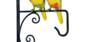 Wonderland Two Parrots Wall Hook