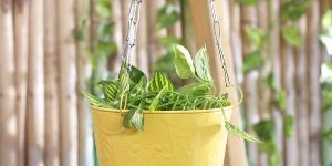 Yellow Balcony Hanging Bucket