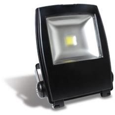 LED Flood Light