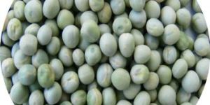 Natural Green Peas