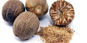 Nutmeg