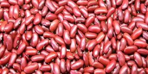 Red Kidney Bean