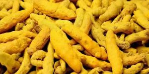 Turmeric Finger