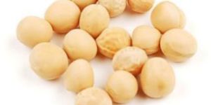 Yellow Peas