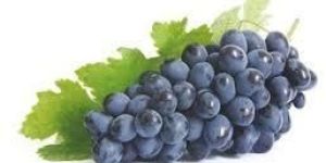 Fresh Sweet Black Grapes