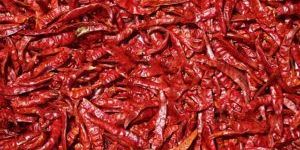 Dry Red Chillies