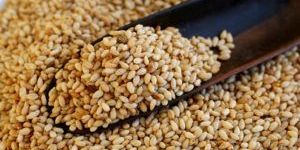 Sesame Seeds