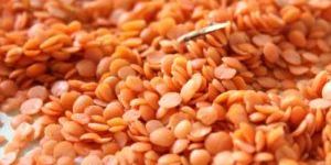 TURKISH ORIGIN RED WHOLE LENTIL