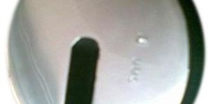 Calibration Slotted Weight