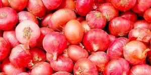 Natural Onions