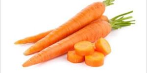 Organic Carrot