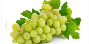 Organic Grapes