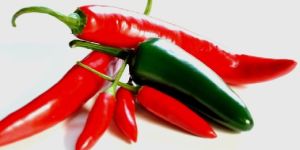 Fresh Green & Red Chilli